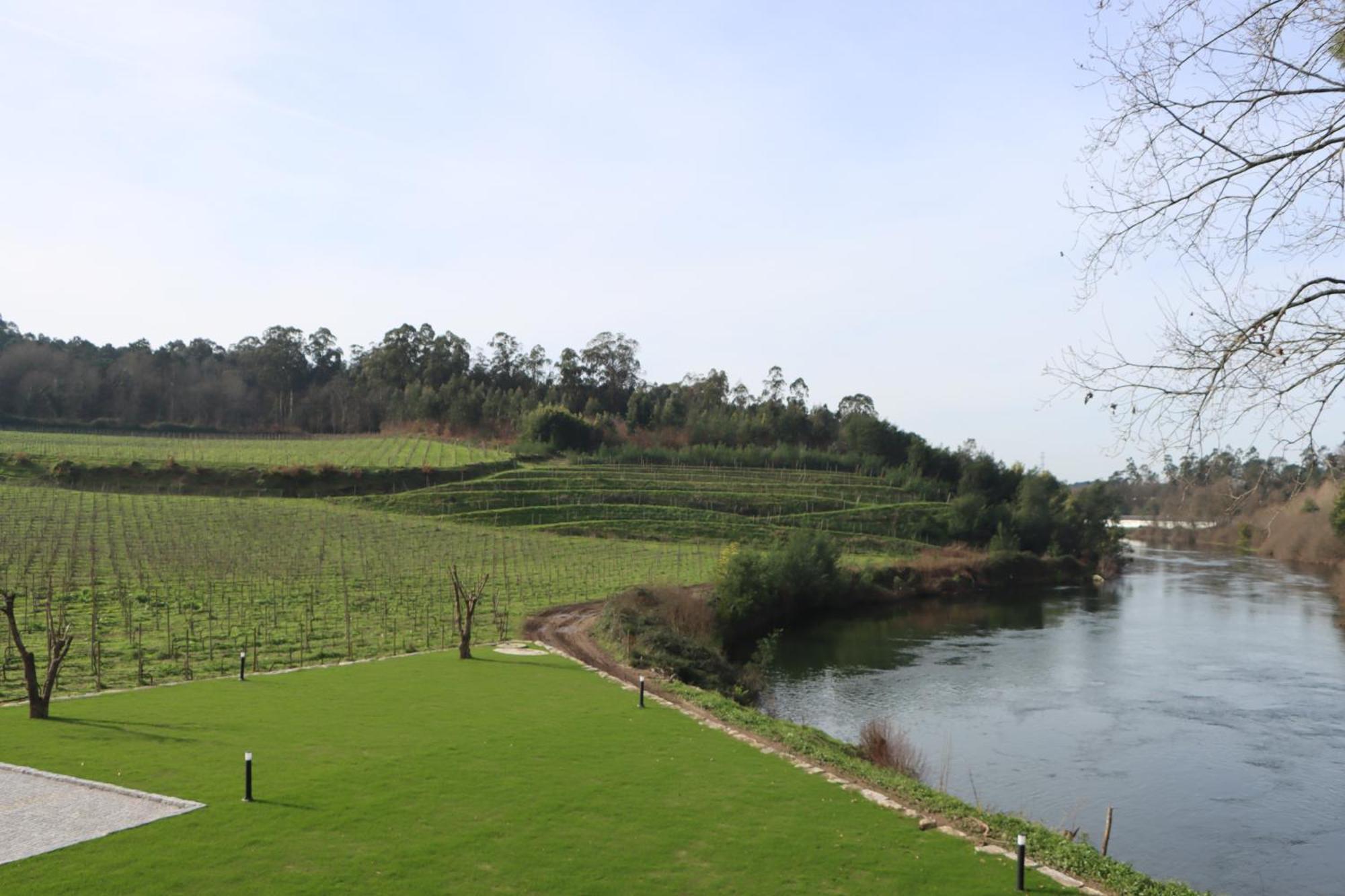 Quinta Das Areias - Solar Da Pena Villa Braga Eksteriør billede