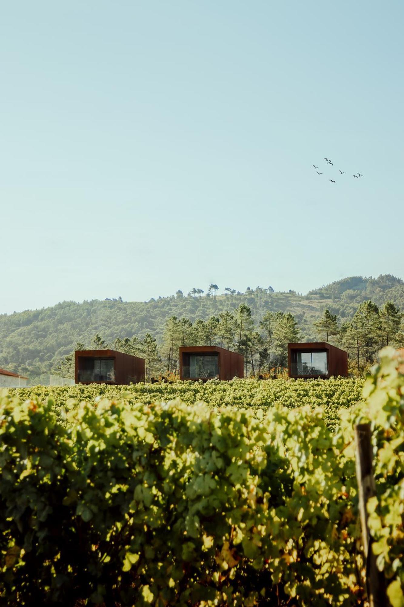 Quinta Das Areias - Solar Da Pena Villa Braga Eksteriør billede